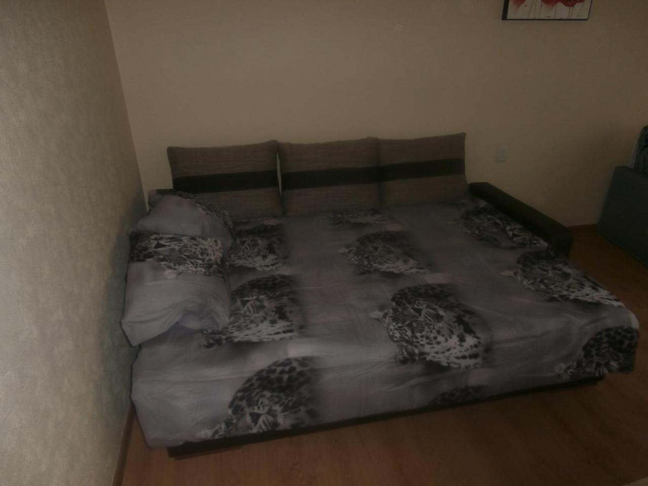 Central Daugavpils Apartment 外观 照片